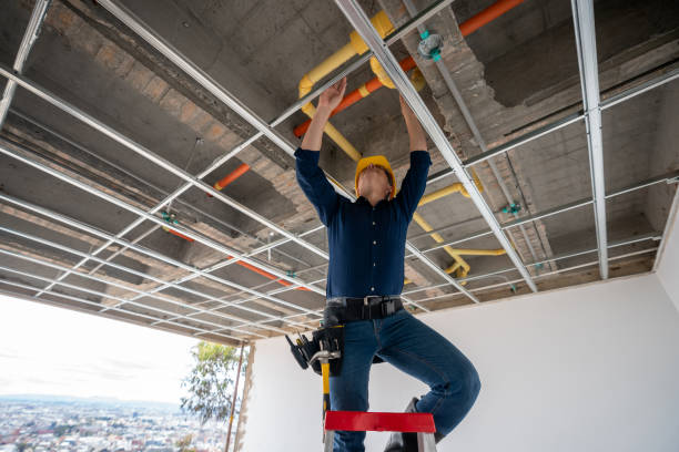 Best Affordable Plumber Near Me  in Elmhurst, IL