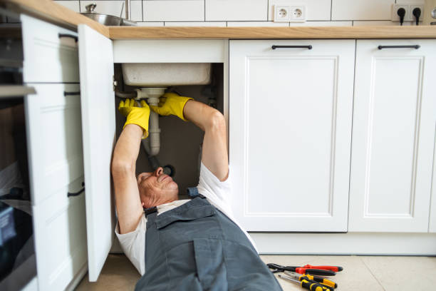  Elmhurst, IL Plumbing Pros